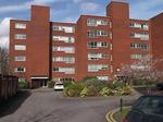 2 bedroom ground floor flat to rent