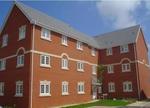 2 bedroom ground floor flat to rent