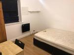 1 bedroom flat share to rent