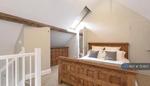 3 bedroom house share to rent