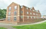 1 bedroom ground floor flat to rent