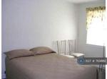 3 bedroom house share to rent