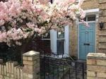 3 bedroom semi-detached house to rent