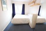 1 bedroom house share to rent