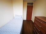 1 bedroom flat share to rent