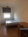 7 bedroom flat share to rent
