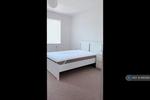 4 bedroom house share to rent