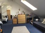 1 bedroom house share to rent
