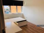 1 bedroom flat share to rent