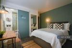 4 bedroom house share to rent
