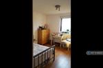 4 bedroom house share to rent