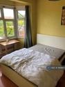 1 bedroom house share to rent