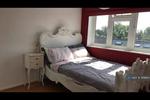 3 bedroom flat share to rent