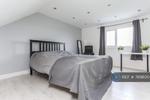 4 bedroom house share to rent