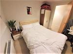 1 bedroom flat share to rent