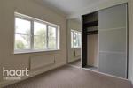 6 bedroom house share to rent