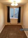 1 bedroom house share to rent