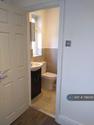 4 bedroom house share to rent