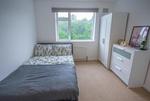 1 bedroom house share to rent