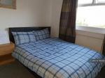 4 bedroom house share to rent