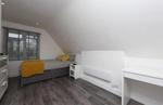3 bedroom house share to rent