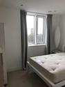 1 bedroom flat share to rent