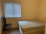 1 bedroom flat share to rent