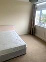 1 bedroom flat share to rent