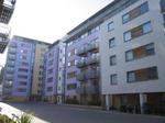 Studio flat to rent