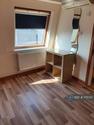 Studio flat to rent