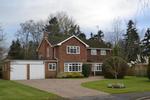 5 bedroom detached house to rent