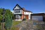 Studio flat to rent
