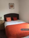 1 bedroom flat share to rent