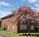 1 bedroom ground floor flat to rent