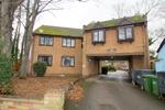 1 bedroom ground floor flat to rent