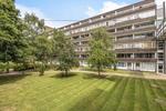 Studio flat to rent