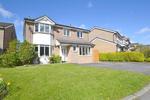 4 bedroom detached house to rent