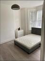 1 bedroom house share to rent