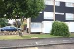 Studio flat to rent