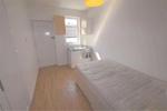 Studio flat to rent