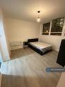 3 bedroom flat share to rent