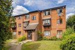 1 bedroom property to rent