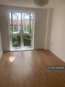 2 bedroom flat share to rent