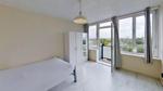1 bedroom property to rent