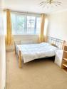 3 bedroom house share to rent