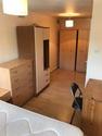 1 bedroom house share to rent