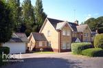 7 bedroom detached house to rent