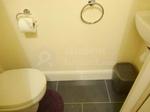 4 bedroom house share to rent
