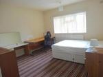 4 bedroom house share to rent