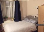 4 bedroom house share to rent